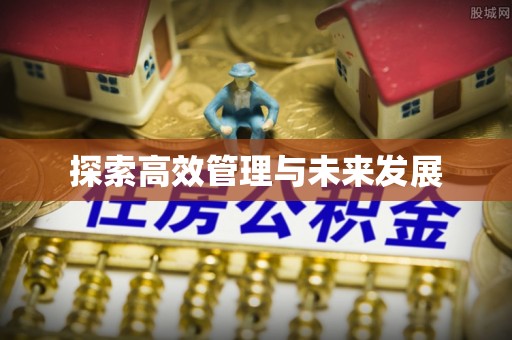 蓬莱探索高效管理与未来发展