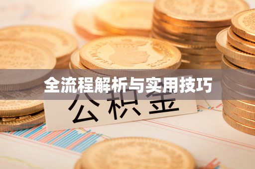 蓬莱全流程解析与实用技巧