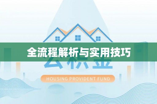 蓬莱全流程解析与实用技巧