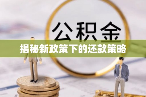 蓬莱揭秘新政策下的还款策略