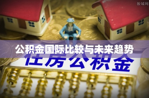 蓬莱公积金国际比较与未来趋势