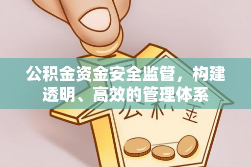 蓬莱公积金资金安全监管，构建透明、高效的管理体系