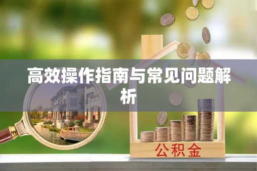 蓬莱高效操作指南与常见问题解析
