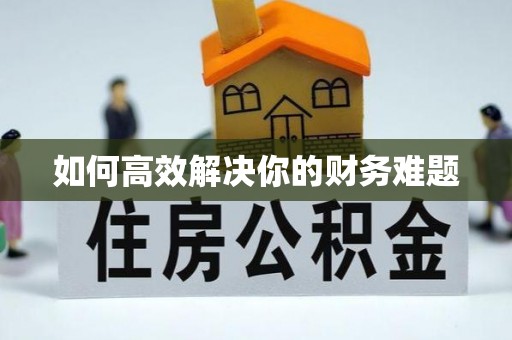 蓬莱如何高效解决你的财务难题