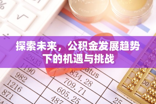 蓬莱探索未来，公积金发展趋势下的机遇与挑战