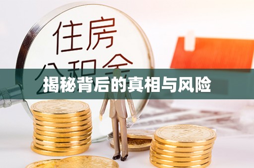蓬莱揭秘背后的真相与风险