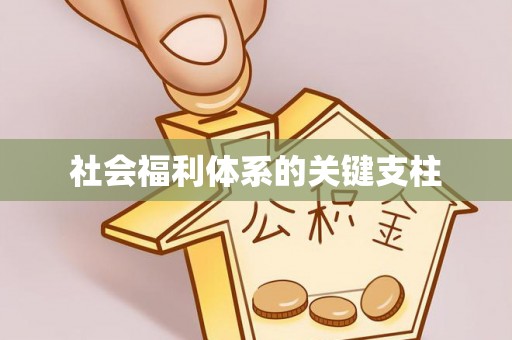 蓬莱社会福利体系的关键支柱