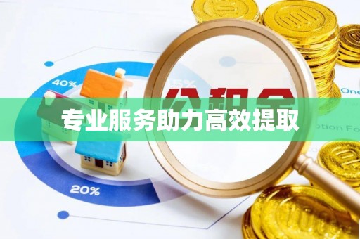 蓬莱专业服务助力高效提取